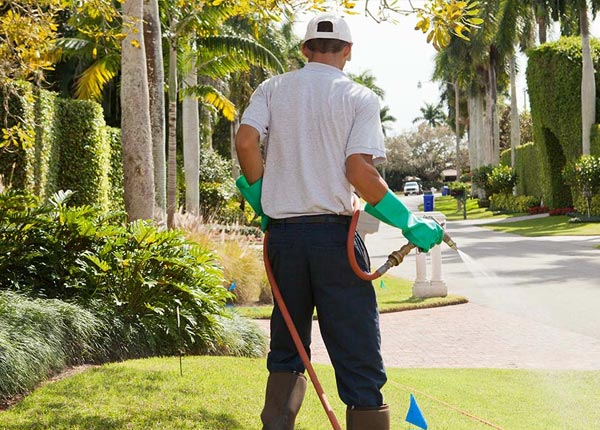 About Mccurtain OK Pest Control